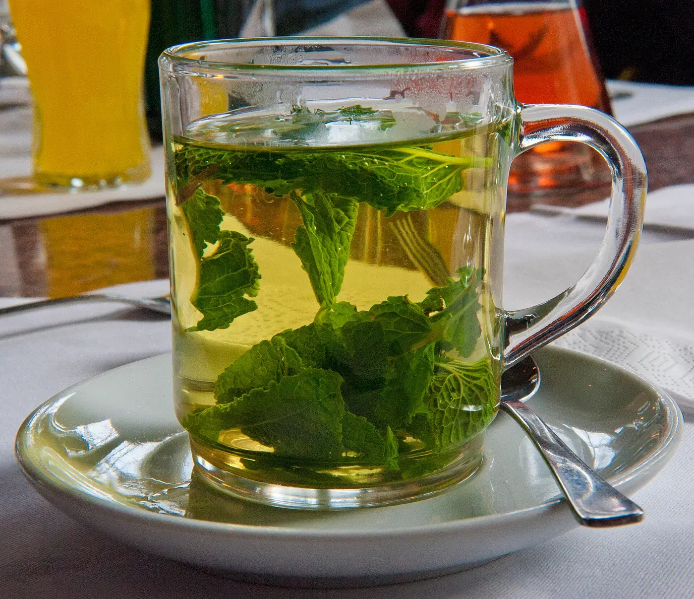A cup of fresh peppermint tea