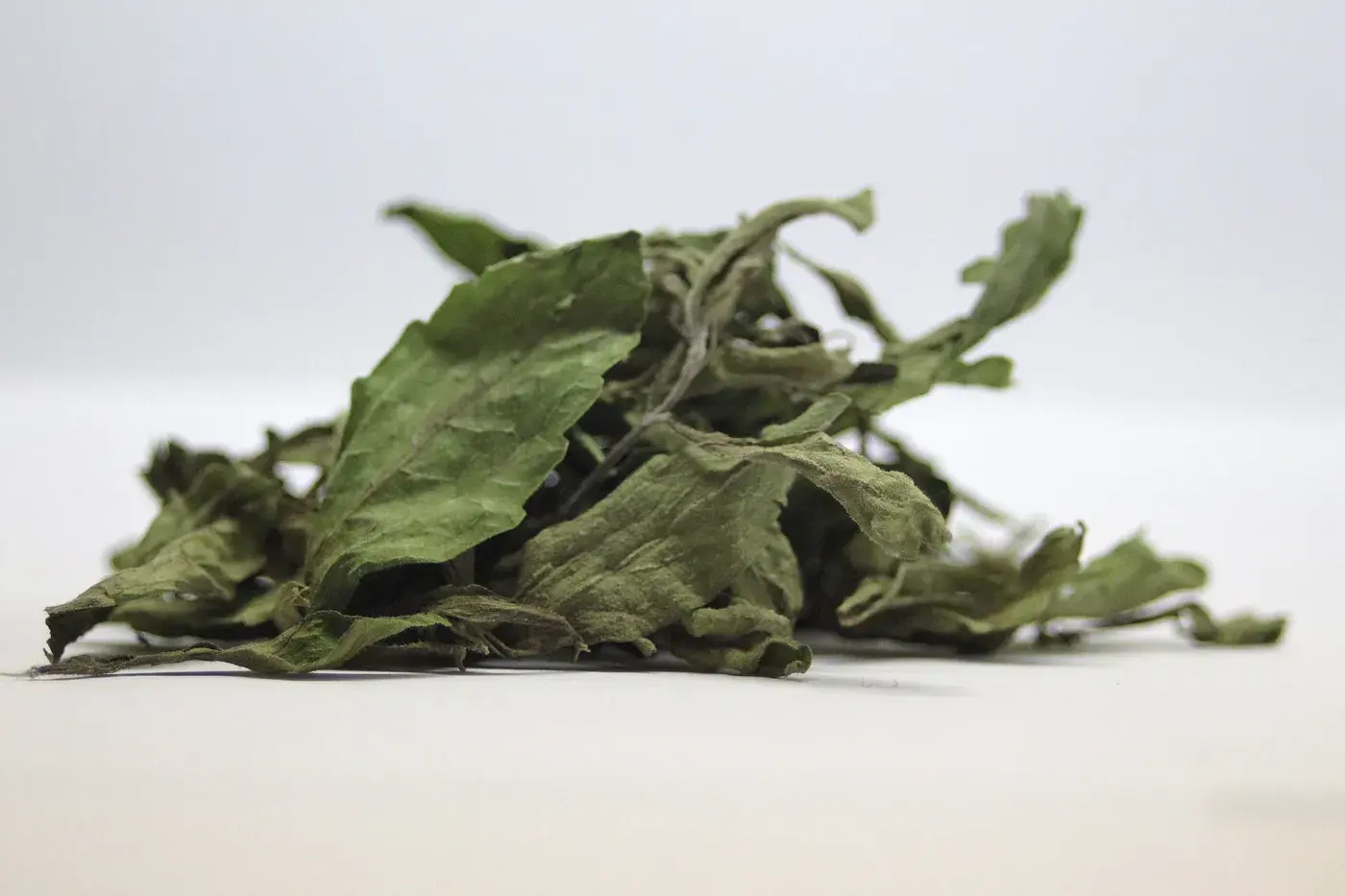 Stevia Leaf Powder